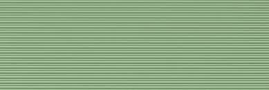 BOLD MOSS VERDE MATE 30X90 REVIGRES