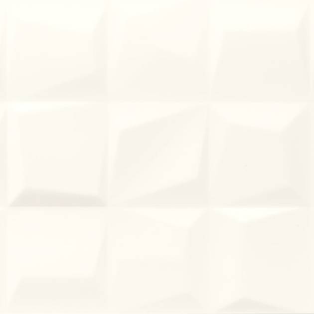 GENESIS RISE WHITE MATE 35x100 LOVE