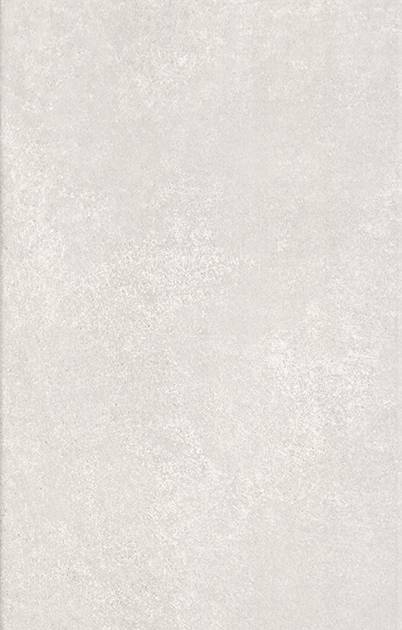 EVOLUTION LIGHT GREY EN10R 34X66.5 DOMINO