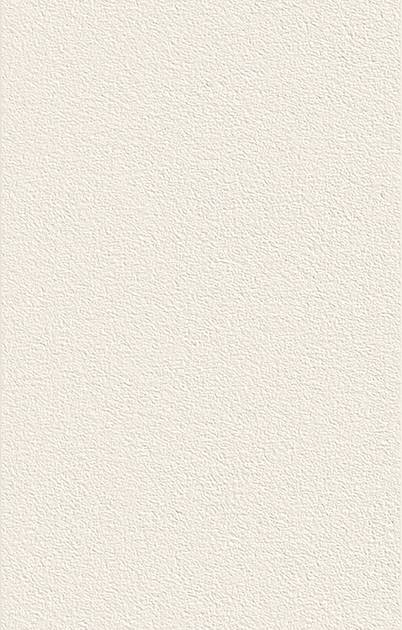 ONE BEGE ON28R 34X91.5 DOMINO