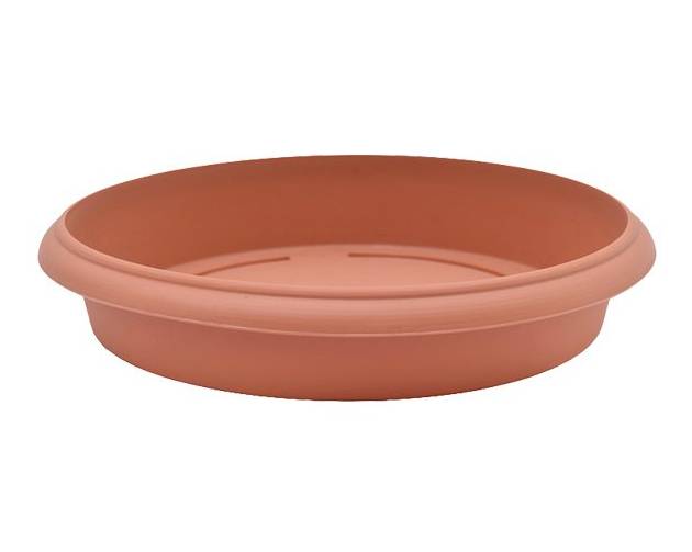 PRATO PARA O VASO TERRACOTA N.48- RENA